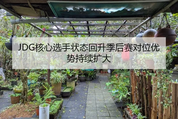 JDG核心选手状态回升季后赛对位优势持续扩大